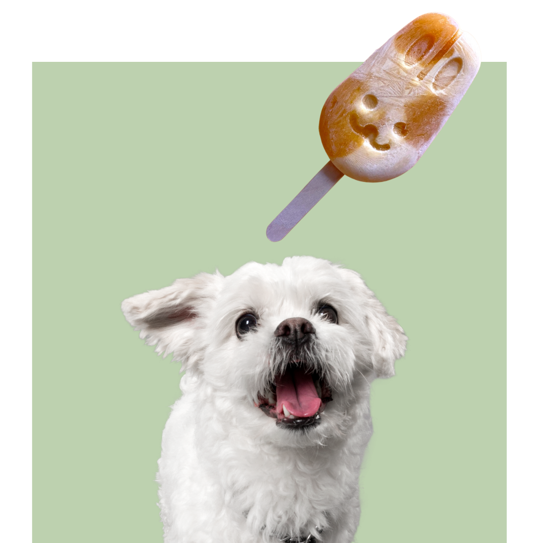 Mini Pawpsicles licked.sg