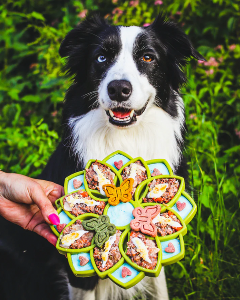 Mandala Enrichment eTray