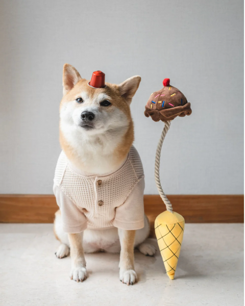 Choco Pupcream Tug Plush