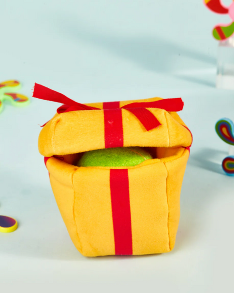 Surprise Me Gift Box