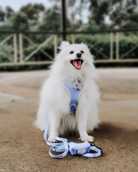 Bella Cuddles Harness