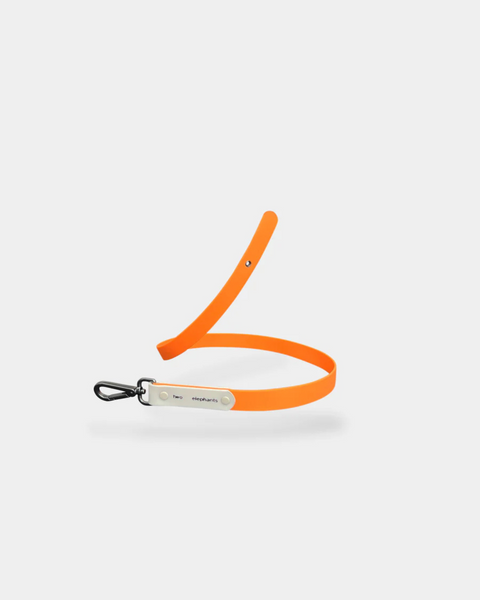 Explorer Leash PART B: Colour Strap