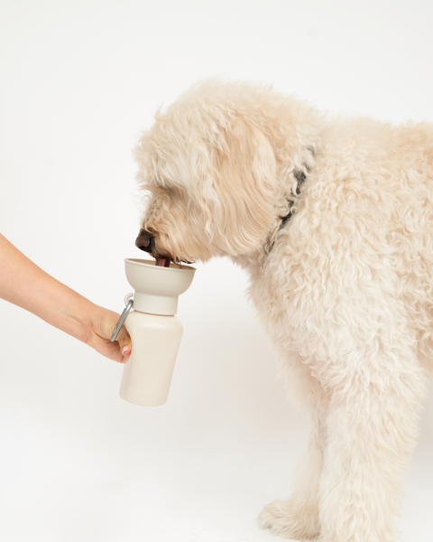 Flip Dog Travel Bottle (Grey)
