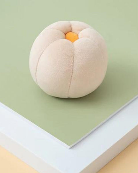 CUCURBITA