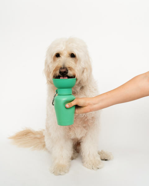 Flip Dog Travel Bottle (Green)