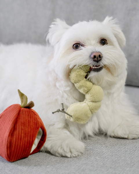 Worm in Apple Snuffle Toy
