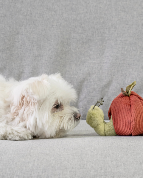 Worm in Apple Snuffle Toy