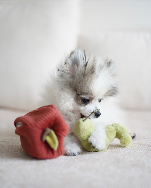 Worm in Apple Snuffle Toy