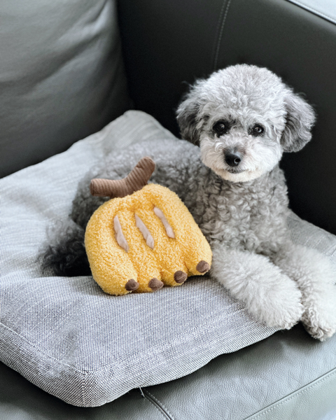 Banana Snuffle Toy