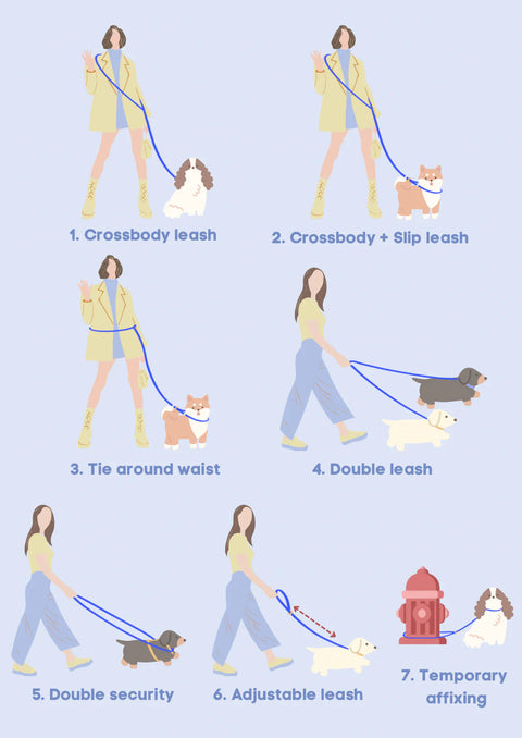 BLUSH Dog Hands-Free Leash