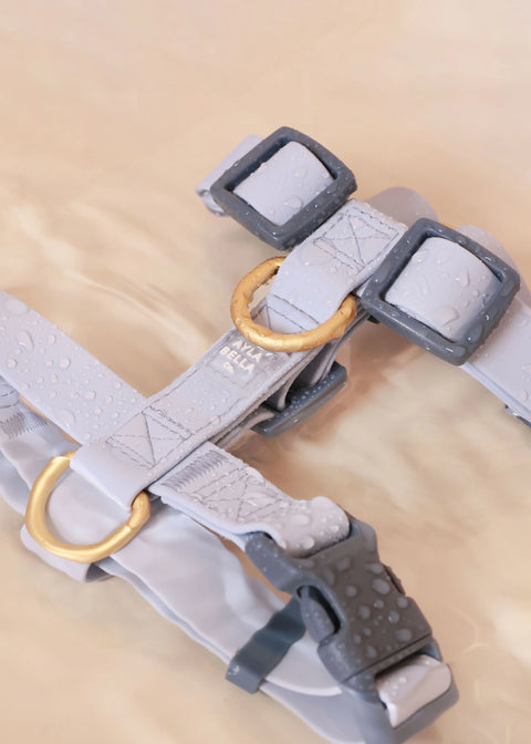 Artic Waterproof Dog H-Harness