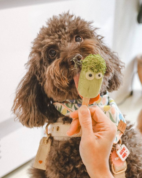 Frankie