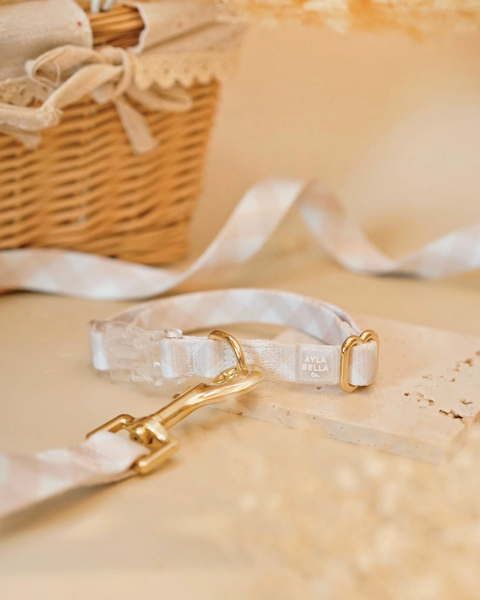Macadamia Dog Collar