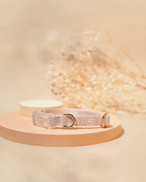 Odette Dog Collar
