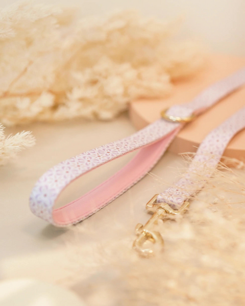 Odette Leash