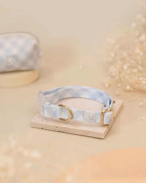Archie’s Dog Collar