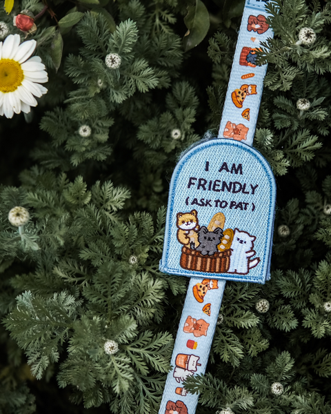 I AM FRIENDLY (FURY&FRIENDS) | ATTACHABLE PATCH