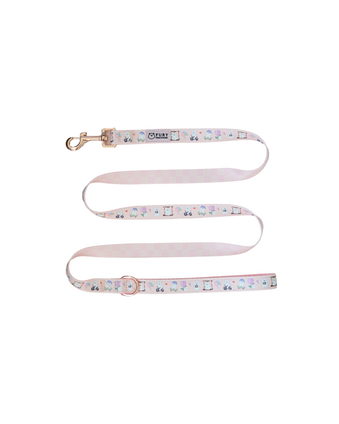 SUMMIT IN PARIS LEASH