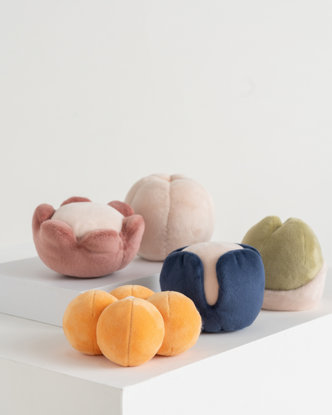 CUCURBITA