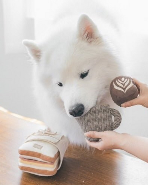 Latte POP
