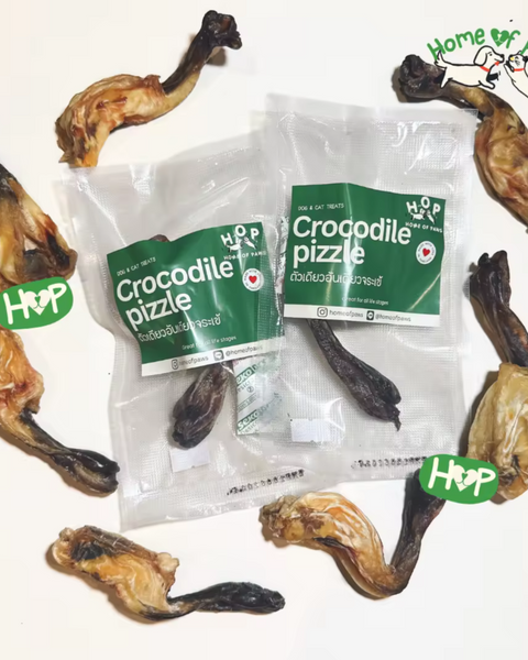 Crocodile Pizzle