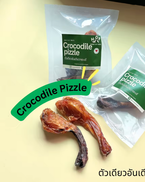 Crocodile Pizzle