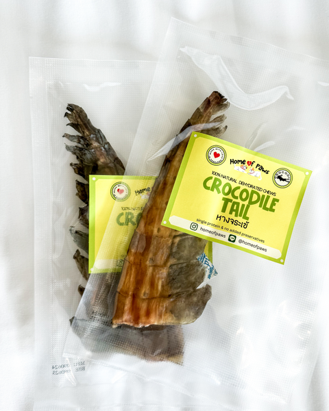 Crocodile Tail