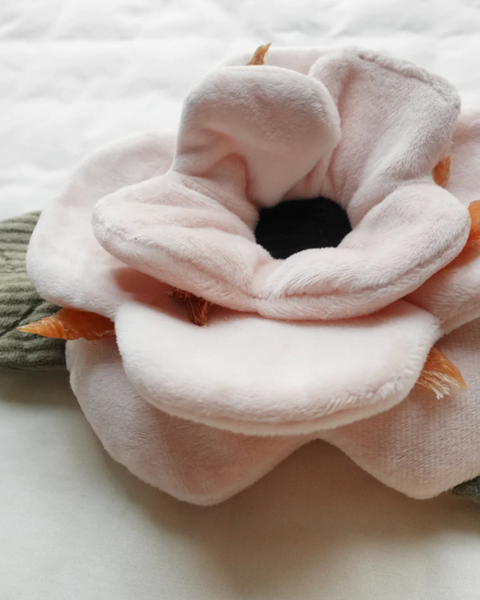 Poppy