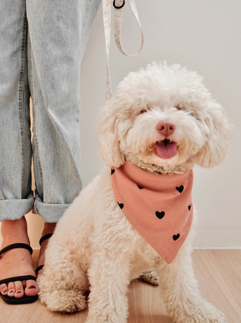Aylabella Co. Bandanas