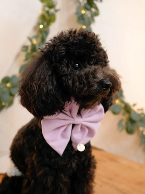 Aylabella Co Bow Ties