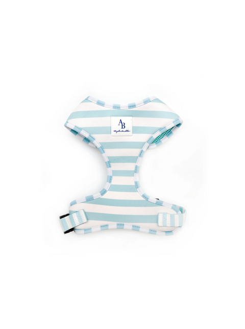 Brighton Harness