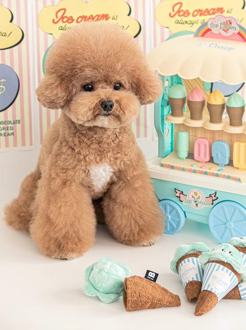 Mint Ice Cream Nosework Toy