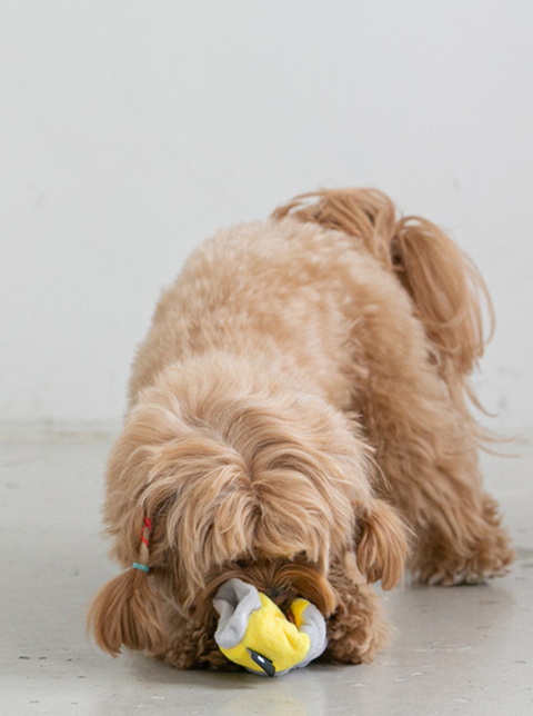 Sock Nosework Toy (Set of 3)