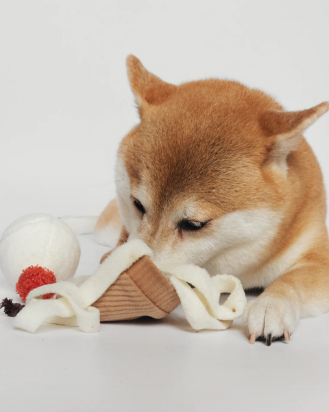 Ice Cream POP