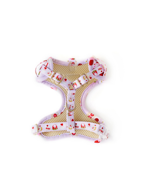 Strawberry Shortcake Dog Harness
