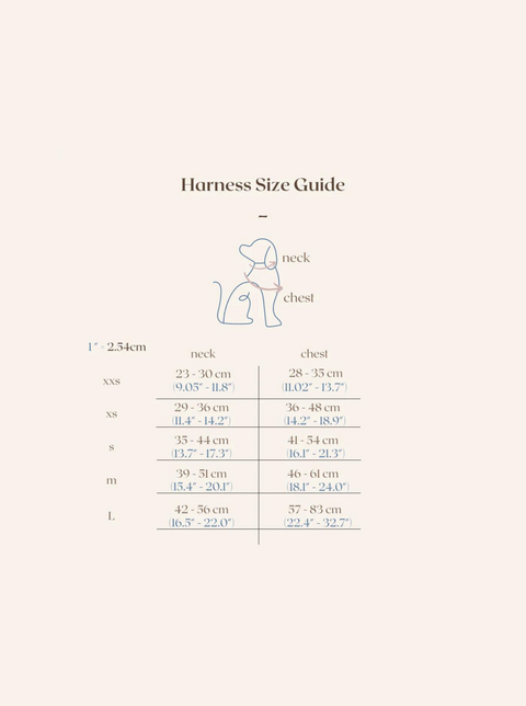 Little Wonders Harness