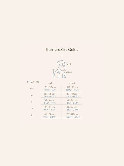 Brighton Harness