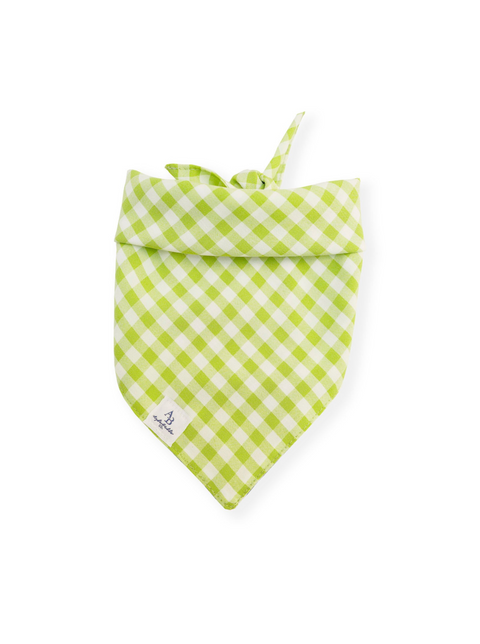 Aylabella Co. Bandanas