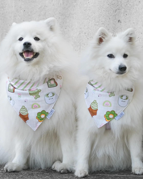 THE TOKYO REVERSIBLE BANDANA