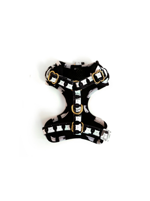 Snow Bear Harness