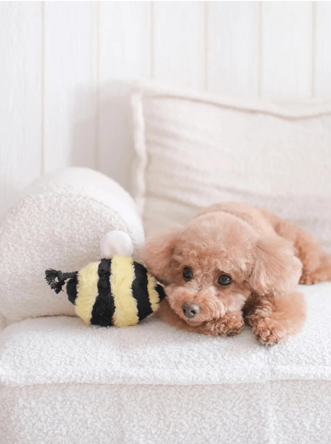 Bee POP