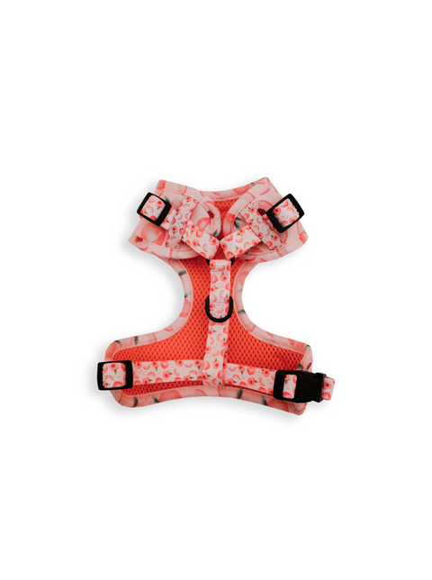 Peaches Harness