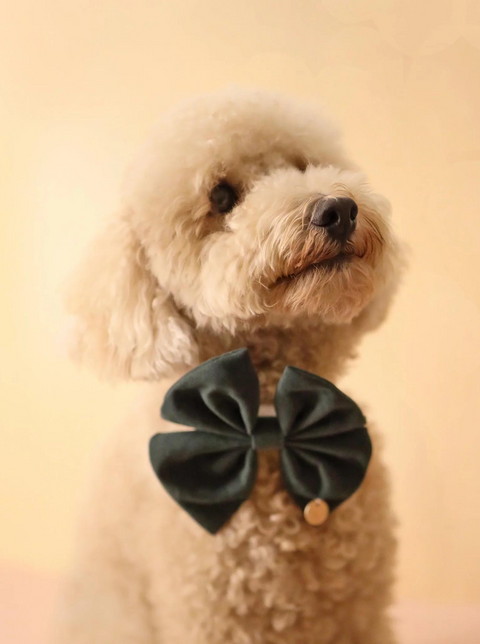Aylabella Co Bow Ties