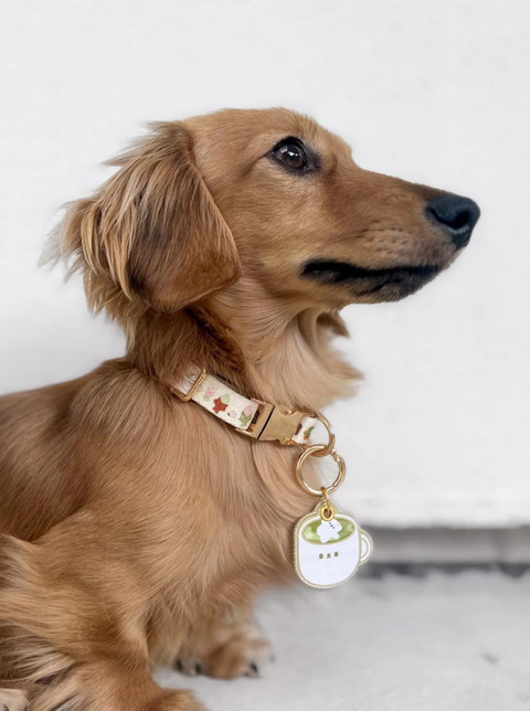 THE TOKYO COLLAR