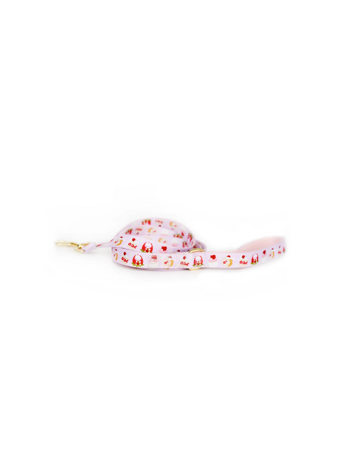 Strawberry Shortcake Dog Leash