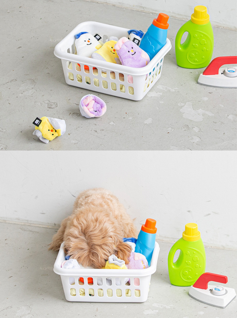 Sock Nosework Toy (Set of 3)