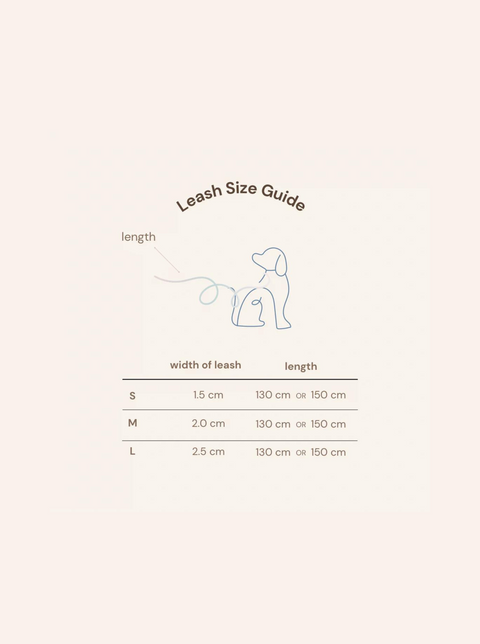 Strawberry Shortcake Dog Leash