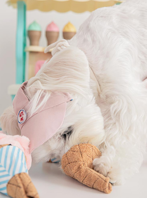 Strawberry Ice Cream Nosework Toy