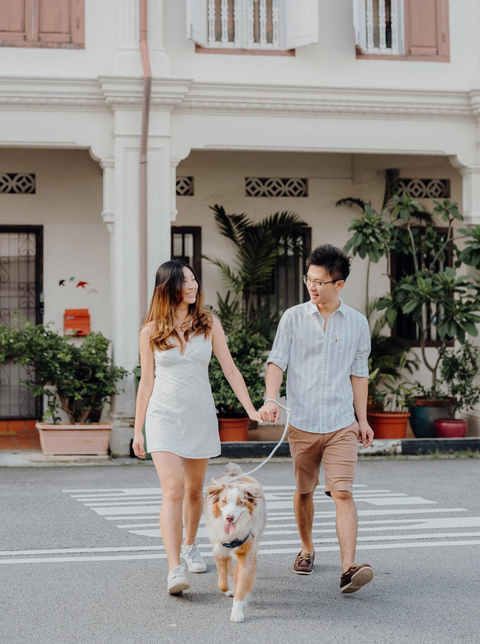 CLOUD Dog Slip Leash