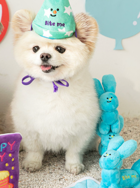 Balloon Dog Toy
